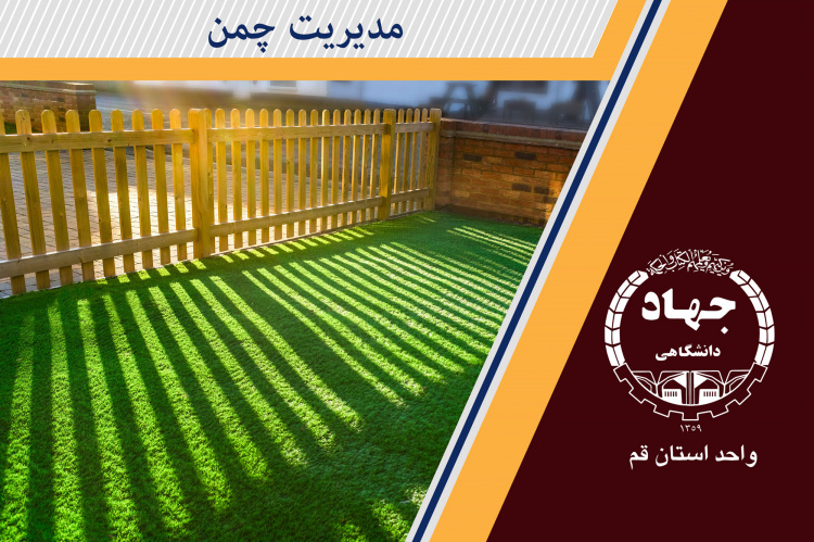 مدیریت چمن